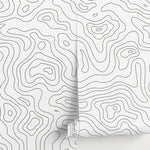 Abstract Topographic Lines Wallpaper - A420 - WallTrend