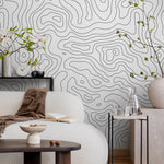 Abstract Topographic Lines Wallpaper - A420 - WallTrend