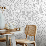 Abstract Topographic Lines Wallpaper - A420 - WallTrend