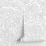 Abstract Topographic Lines Wallpaper - A420 - WallTrend