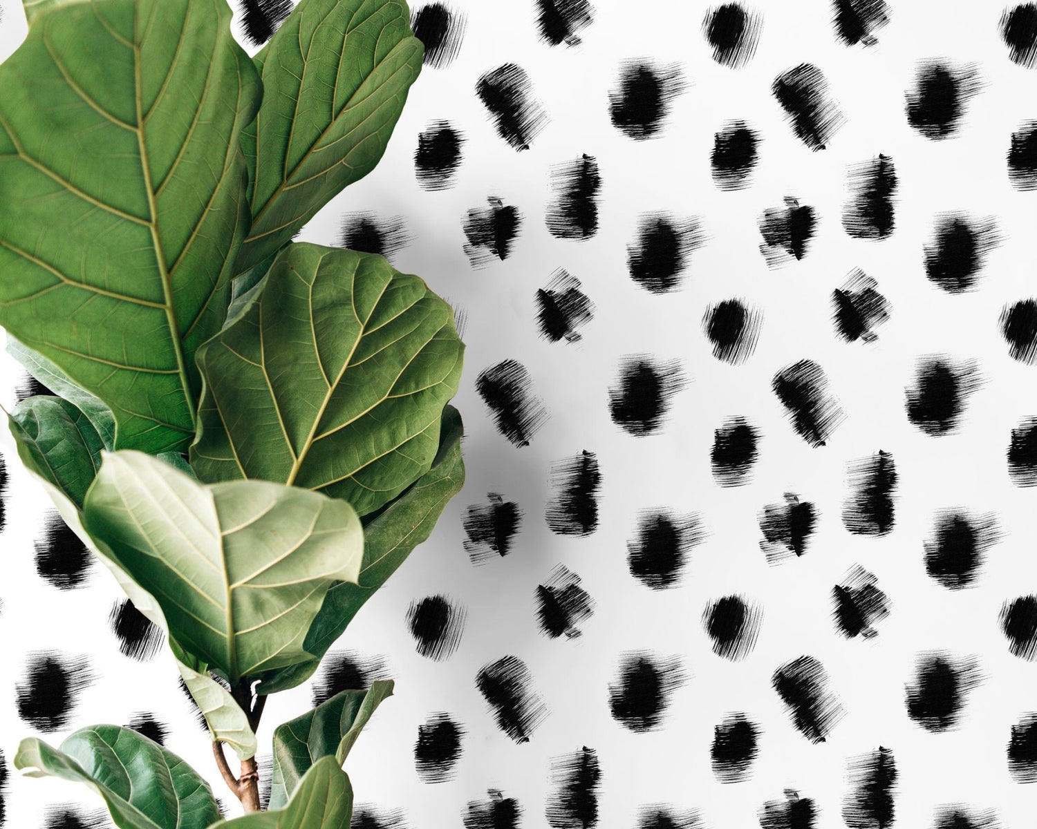 Black and White Speckle Dots Wallpaper / Peel and Stick Wallpaper Removable Wallpaper Home Decor Wall Art Wall Decor Room Decor - C895 - WallTrend