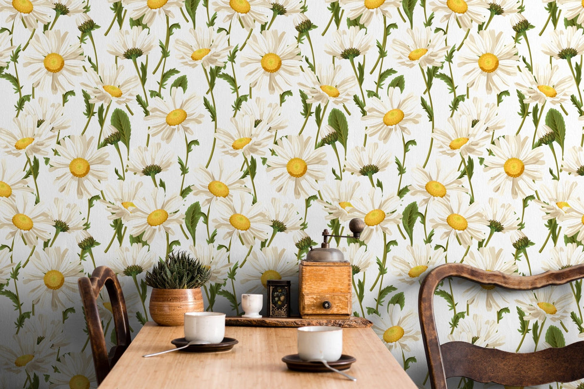 Daisy Delight Wallpaper - A209 - WallTrend