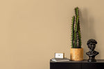 Elegant Cream Texture Wallpaper - D415 - WallTrend