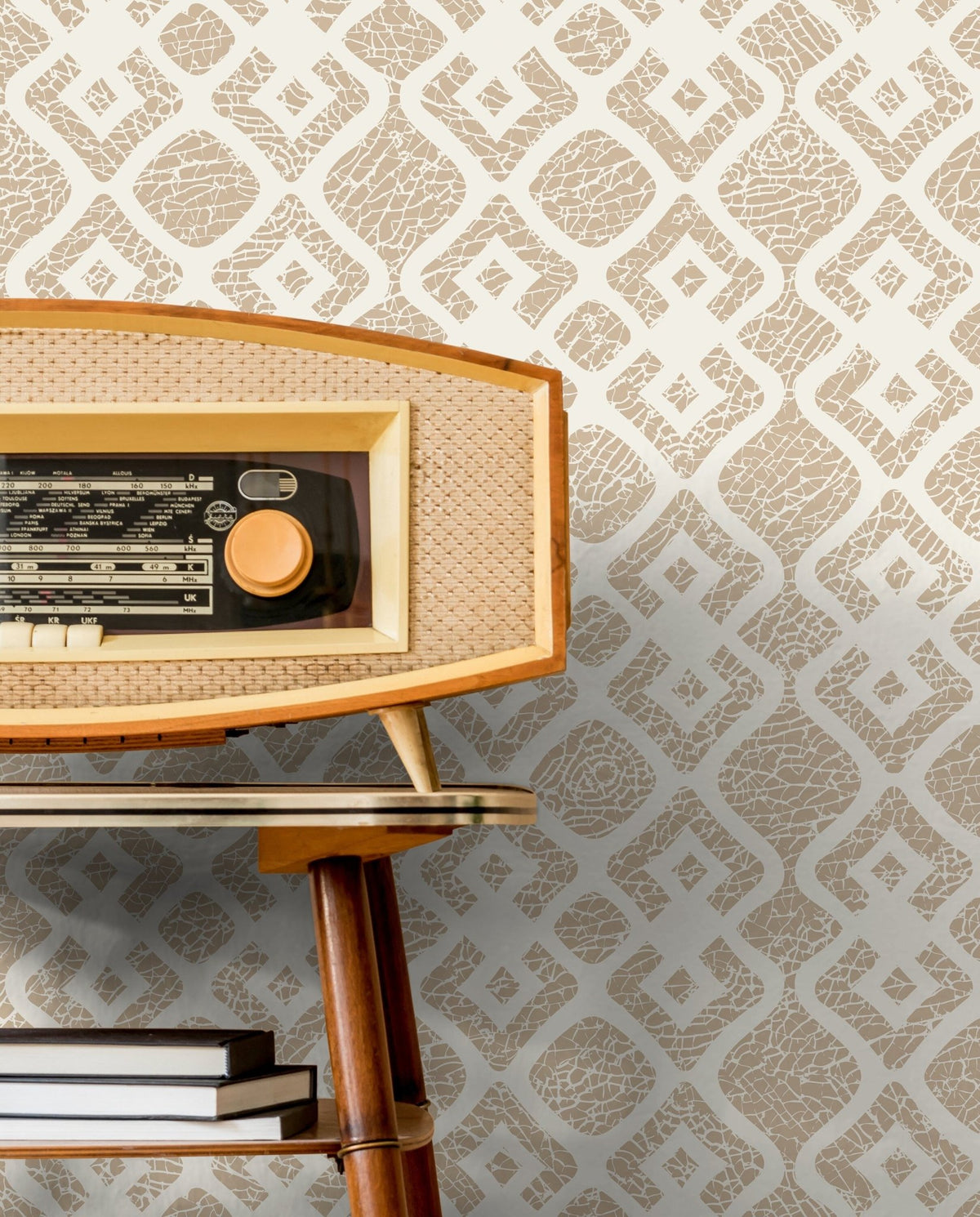 Elegant Geometric Pattern Wallpaper - C491 - WallTrend