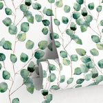Eucalyptus Serenity Wallpaper - A126 - WallTrend
