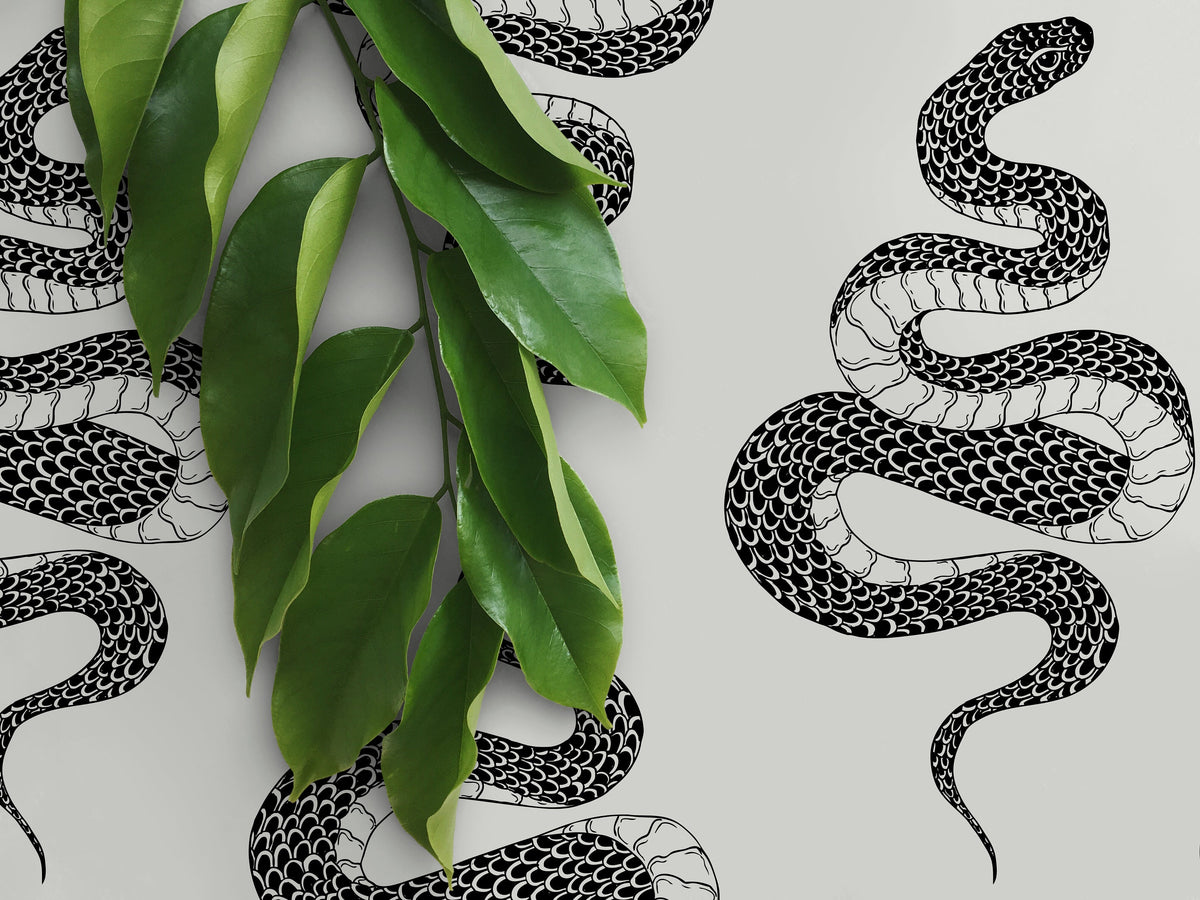 Wallpaper Peel and Stick Wallpaper Removable Wallpaper Home Decor Wall Art Wall Decor Room Decor / Gray Black Snake Wallpaper - C606