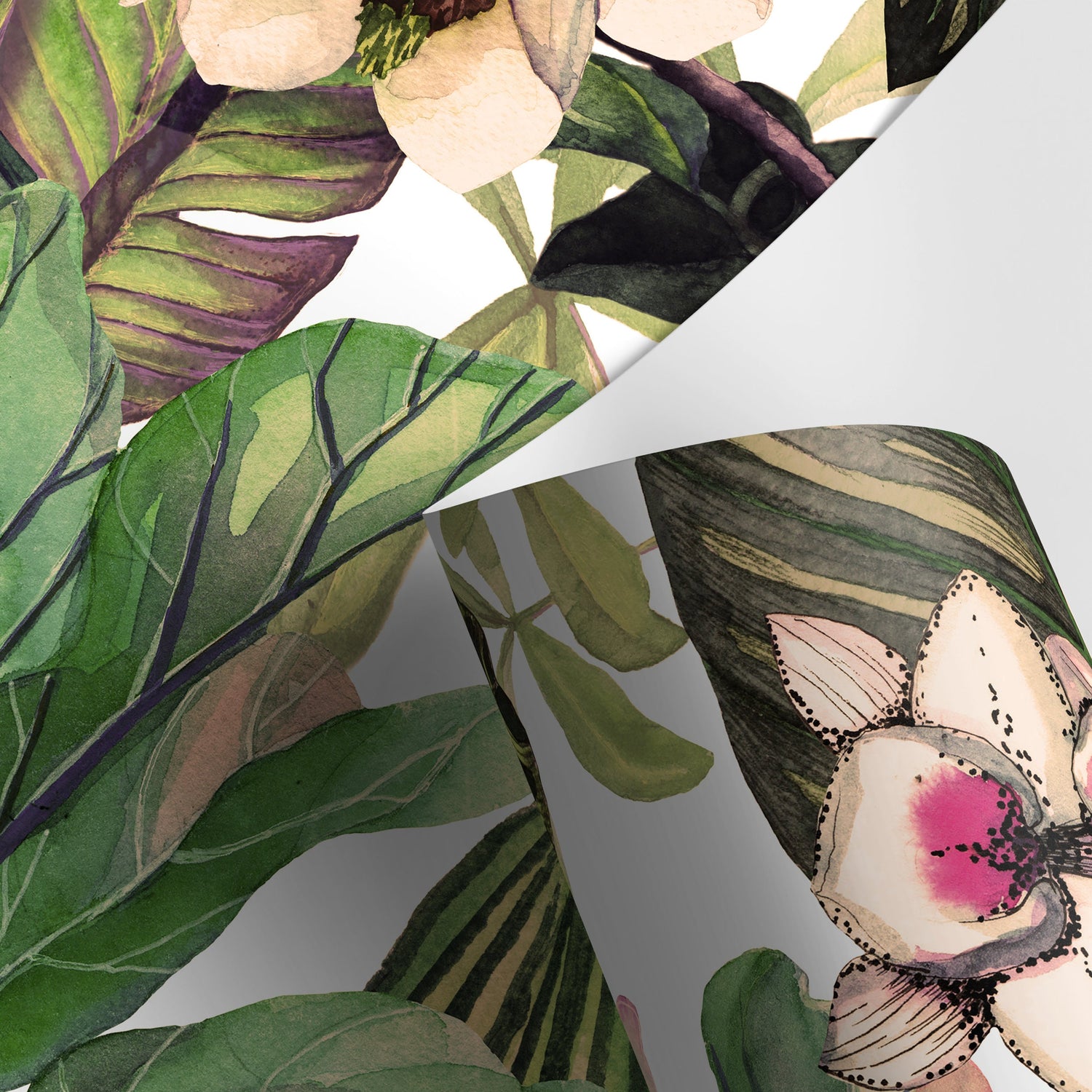 Tropical Botanical Leaf Wallpaper Peel and Stick and Traditional Wallpaper - A471