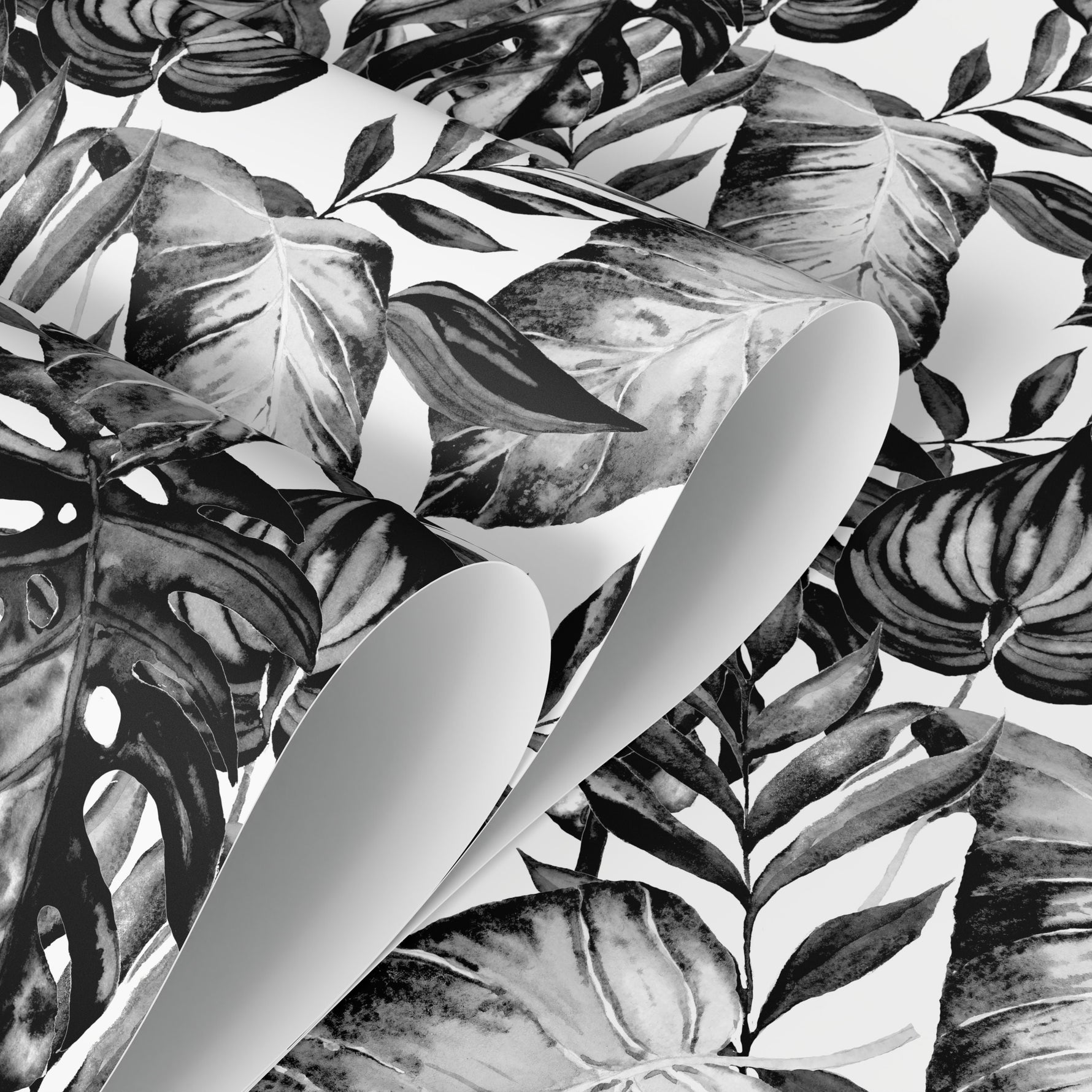 Wallpaper Peel and Stick Wallpaper Removable Wallpaper Home Decor Wall Art Wall Decor Room Decor / Black and White Monstera Wallpaper -B655