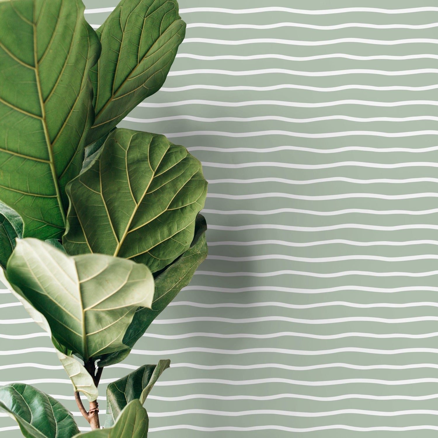 Light Green Minimalist Lines Wallpaper Boho Wallpaper Peel and Stick and Traditional Wallpaper - D747 - WallTrend
