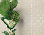 Modern Abstract Lines Wallpaper - D049 - WallTrend