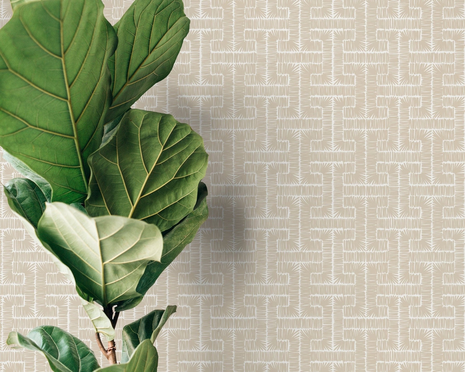 Modern Abstract Lines Wallpaper - D049 - WallTrend