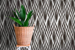 Monochrome Opulence Wallpaper - C101 - WallTrend