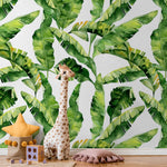 Tropical Banana Leaf Wallpaper - A466 - WallTrend