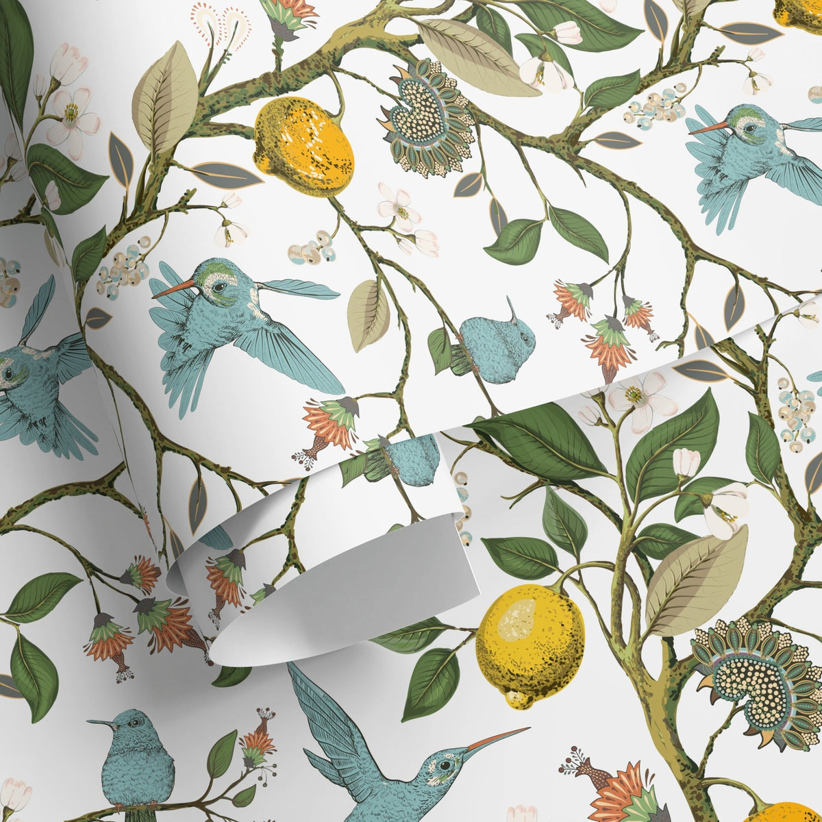Tropical Birds and Citrus Wallpaper - A630 - WallTrend