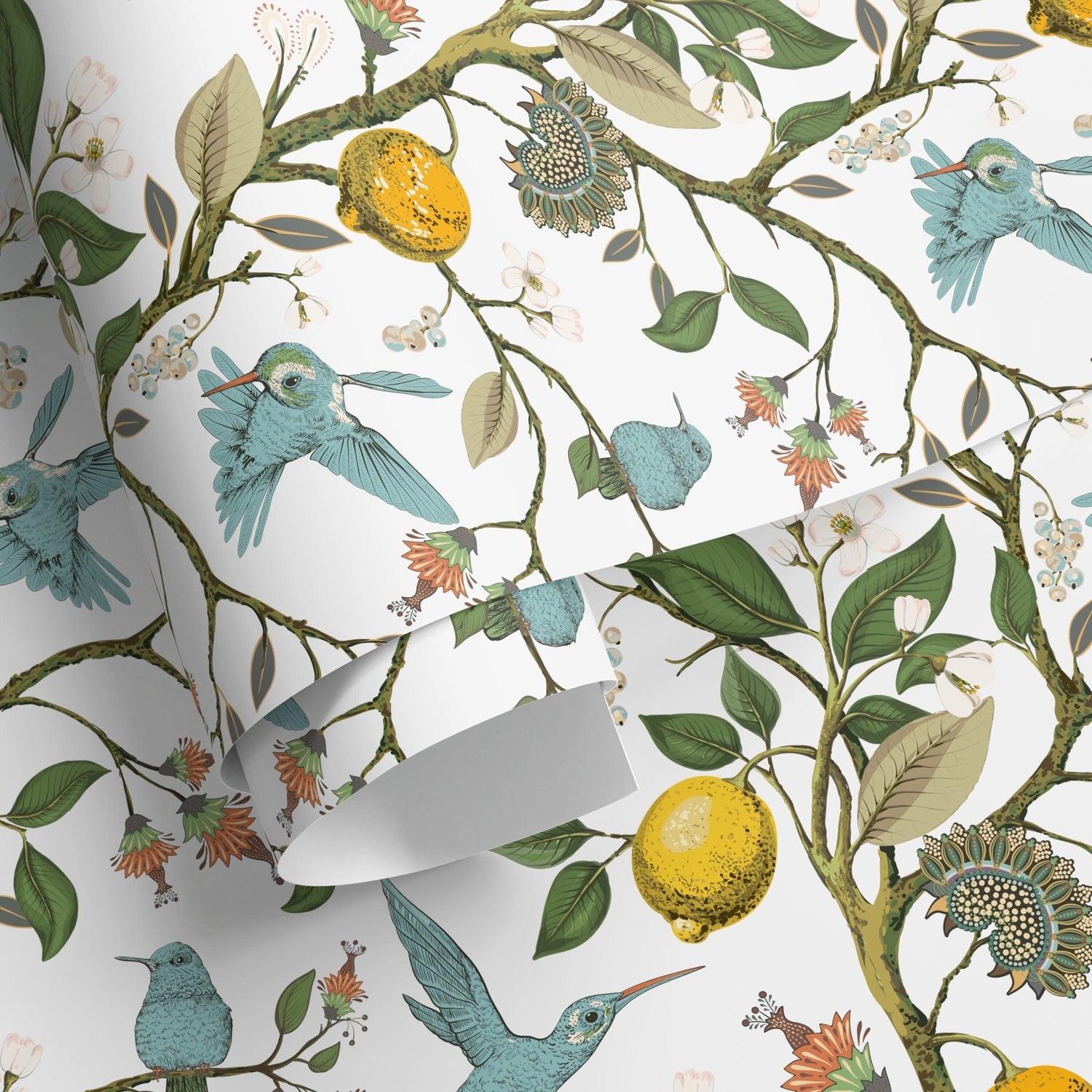 Tropical Birds and Citrus Wallpaper - A630 - WallTrend