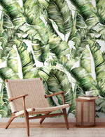 Tropical Foliage Wallpaper - C405 - WallTrend