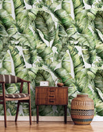 Tropical Foliage Wallpaper - C405 - WallTrend
