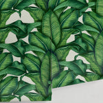 Tropical Leaf Paradise Wallpaper - A256 - WallTrend