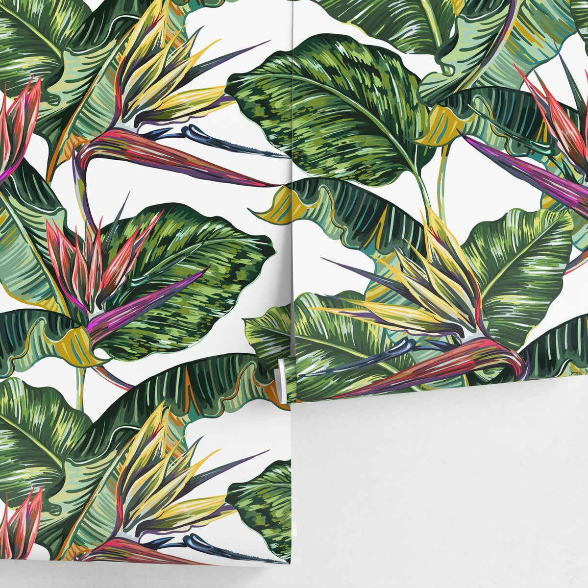 Tropical Leaves Wallpaper Bird of paradise Wallpaper Peel and Stick and Traditional Wallpaper - A433 - WallTrend