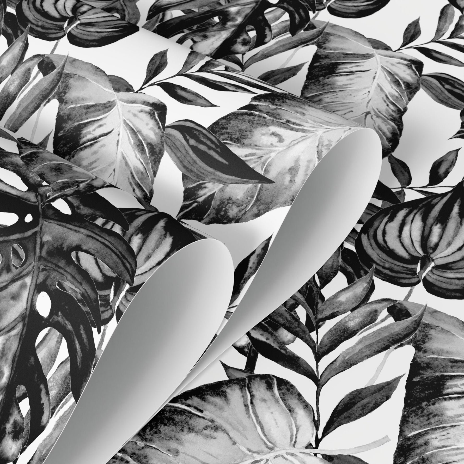 Tropical Monochrome Leaves Wallpaper - B655 - WallTrend