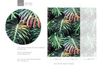 Tropical Monstera Delight Wallpaper - B116 - WallTrend